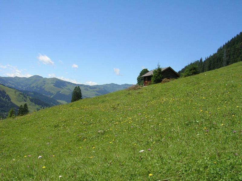 Hotel Langeck Maria Alm am Steinernen Meer Dış mekan fotoğraf